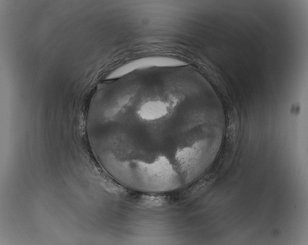 X0000114610469200911101156