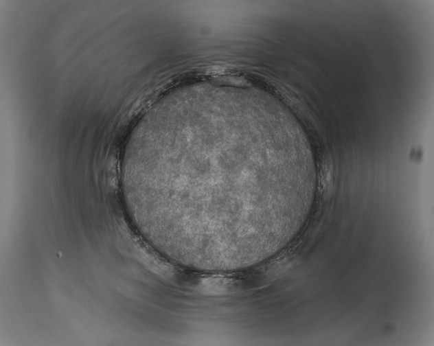 X0000114610470200911101156