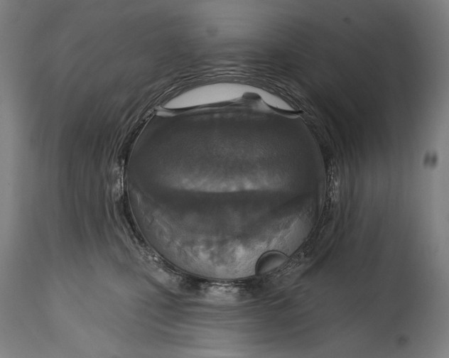 X0000114610471200911101156