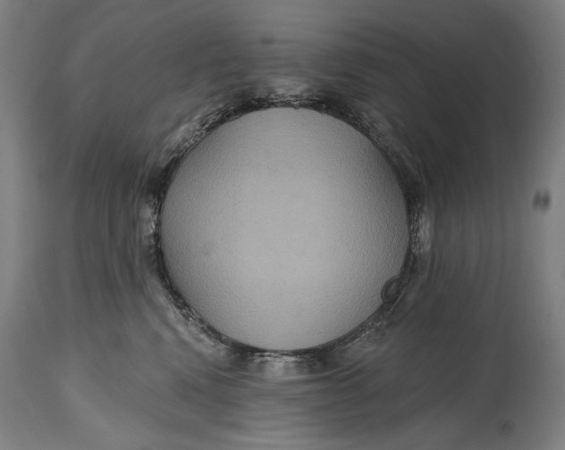 X0000114610472200911101156