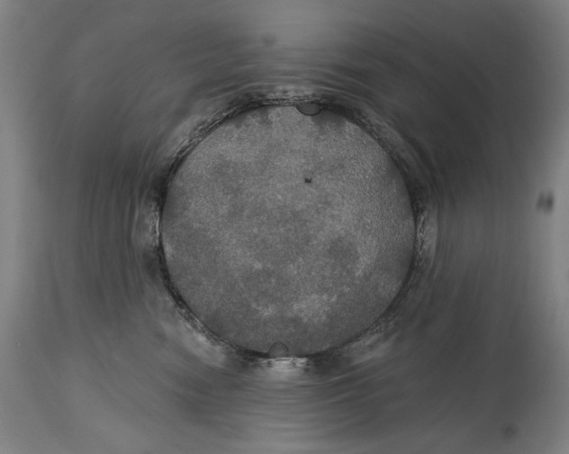 X0000114610474200911101156