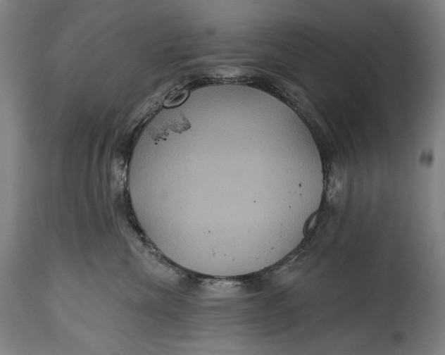 X0000114610476200911101156