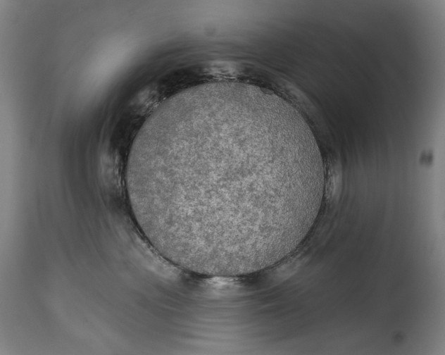 X0000114610477200911101156