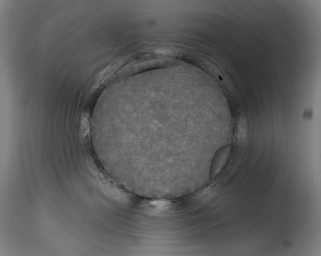 X0000114610478200911101156