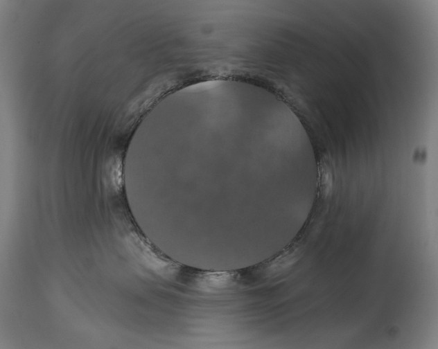 X0000114610479200911101156