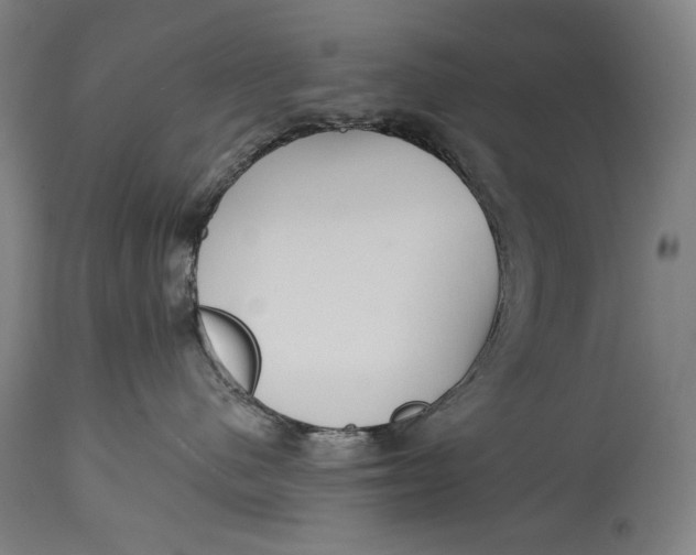 X0000114610480200911101156