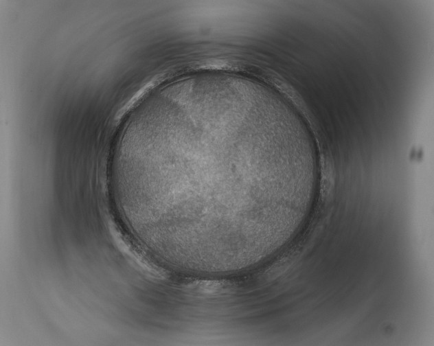 X0000114610482200911101155