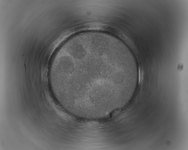 X0000114610483200911101155