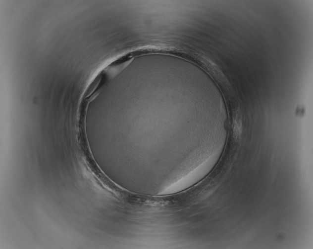 X0000114610484200911101155