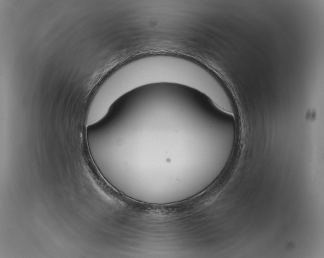 X0000114610489200911101155