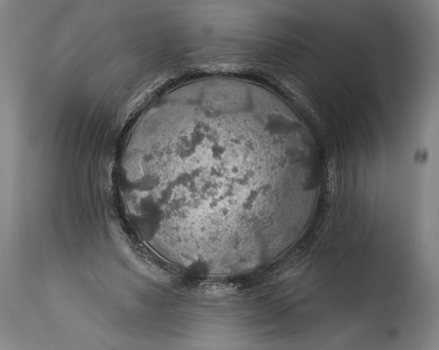 X0000114610491200911101155