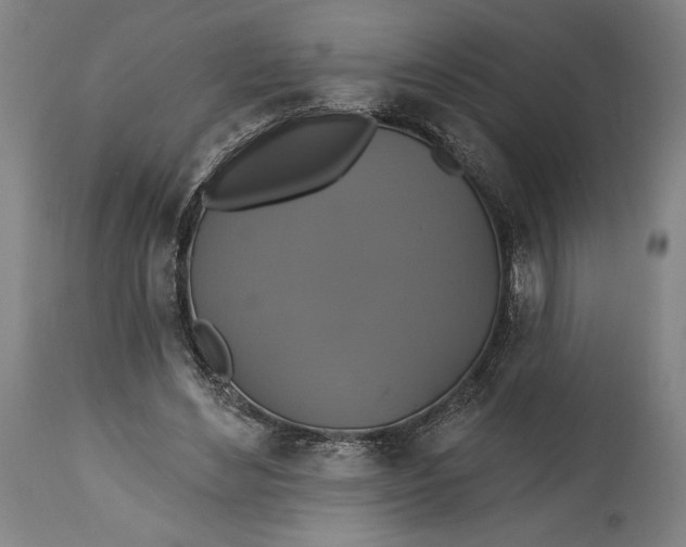 X0000114610492200911101155