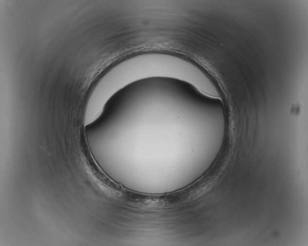 X0000114610493200911101155