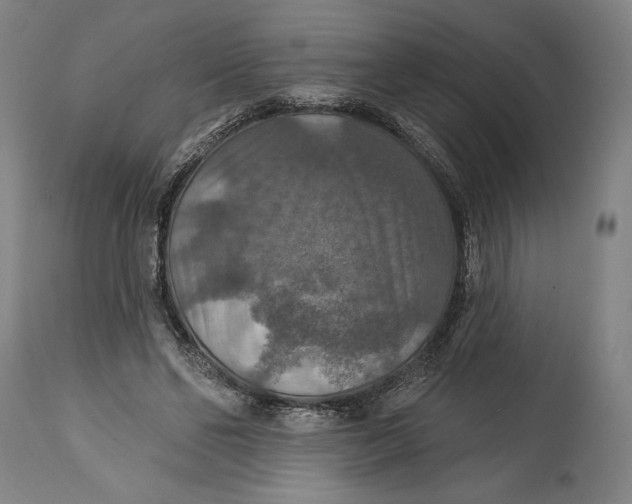 X0000114610494200911101155