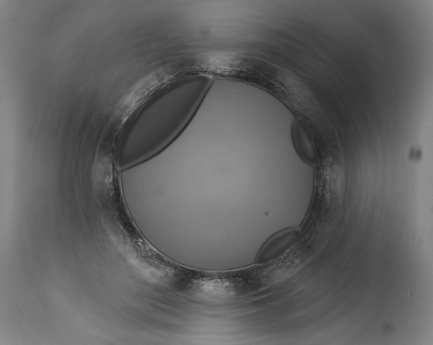 X0000114610500200911101155