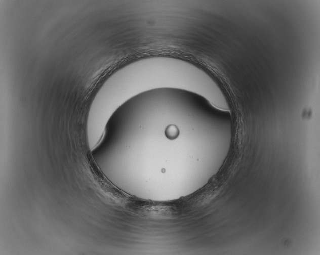 X0000114610501200911101155