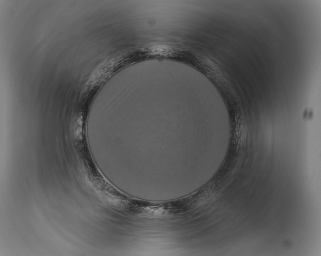 X0000114610502200911101155