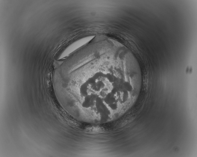 X0000114610503200911101155