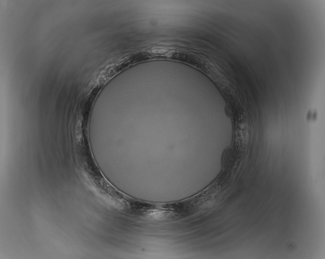 X0000114610504200911101155