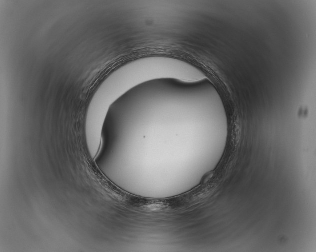 X0000114610505200911101155