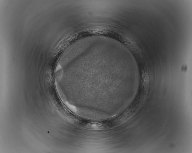 X0000114610506200911101155