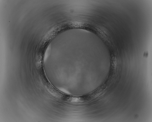 X0000114610507200911101155