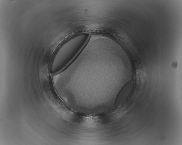 X0000114610508200911101155