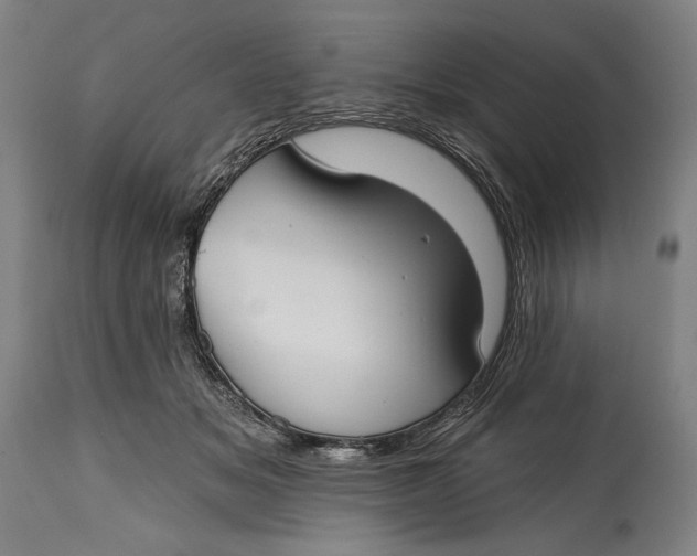 X0000114610509200911101155