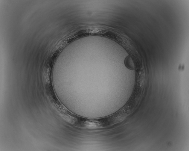 X0000114610510200911101155