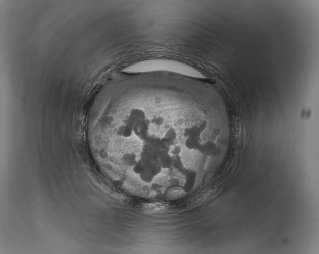 X0000114610511200911101155