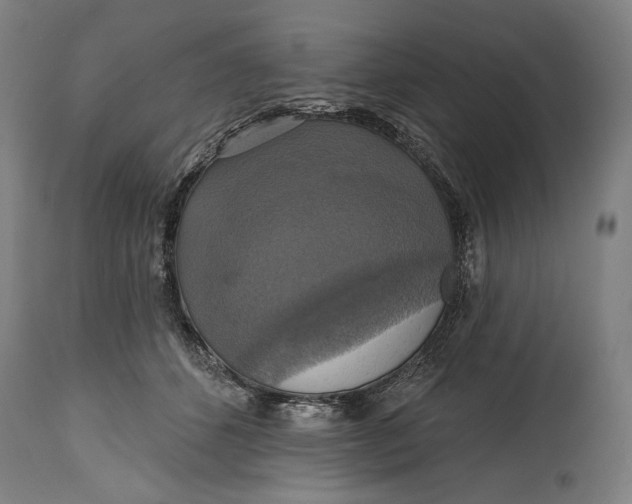 X0000114610512200911101155