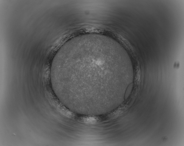 X0000114610513200911101155