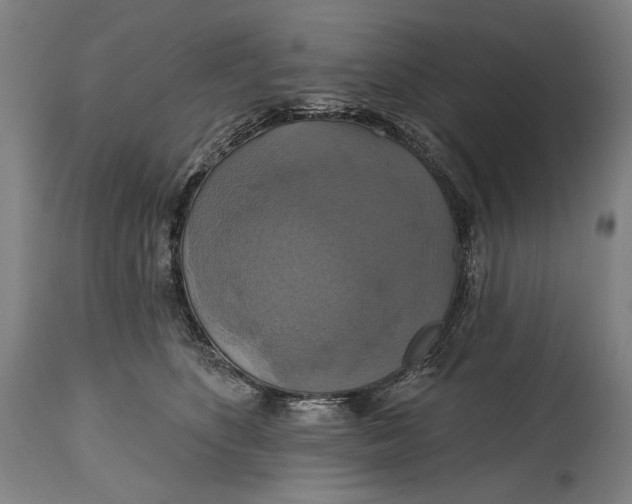 X0000114610516200911101155