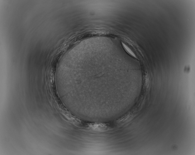 X0000114610517200911101155