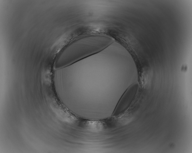 X0000114610520200911101154