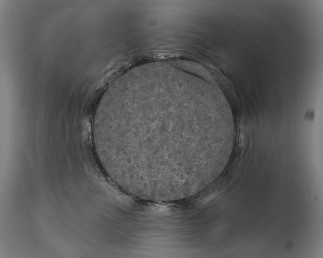 X0000114610523200911101154