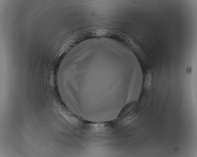 X0000114610524200911101154