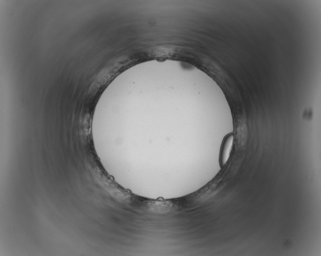 X0000114610525200911101154