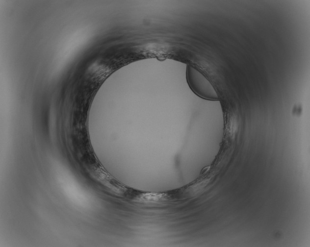 X0000114610526200911101154