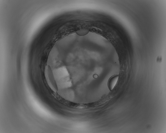 X0000114610527200911101154