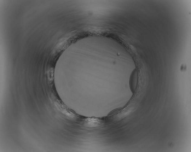 X0000114610528200911101154