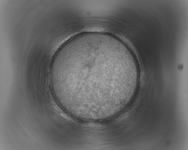 X0000114610529200911101154