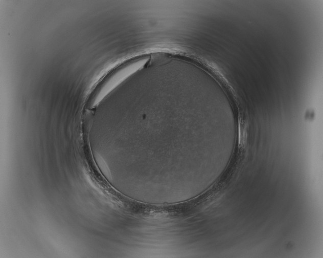 X0000114610531200911101154