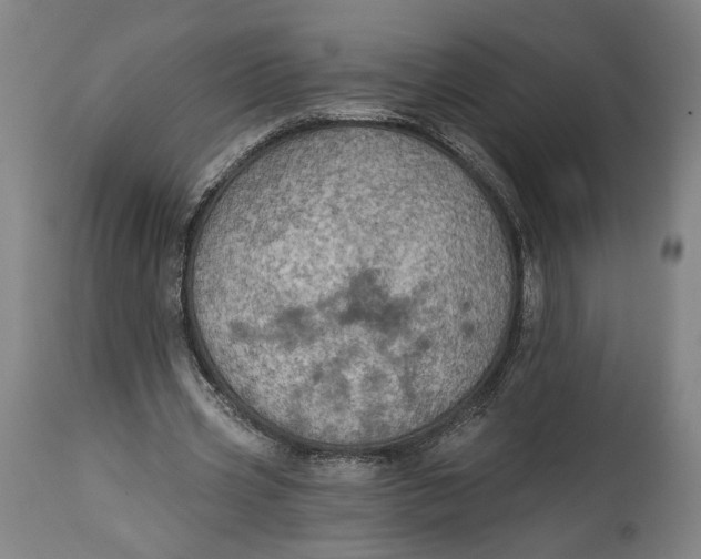 X0000114610533200911101154