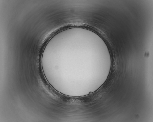 X0000114610535200911101154