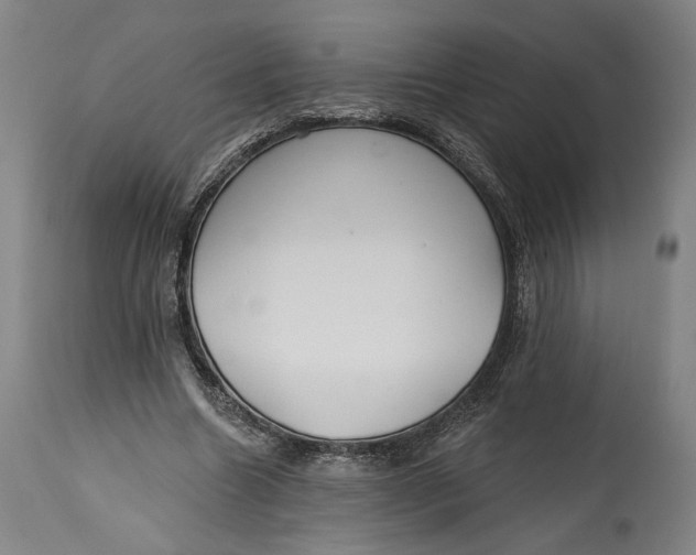 X0000114610538200911101154