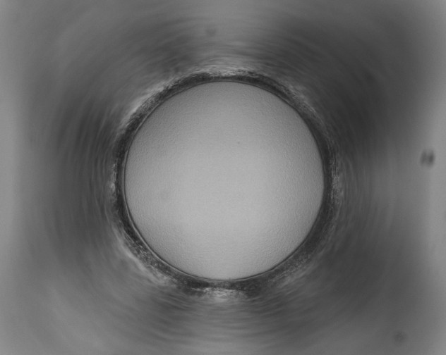 X0000114610539200911101154