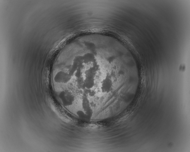 X0000114610542200911101154