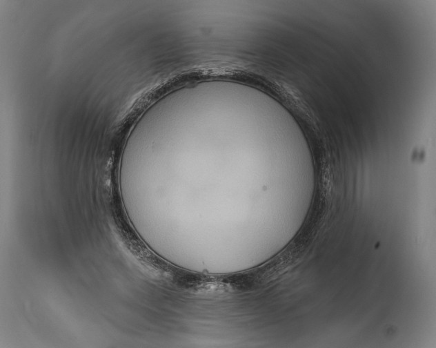 X0000114610543200911101154