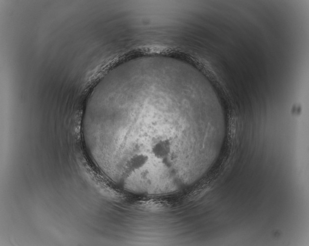 X0000114610545200911101154